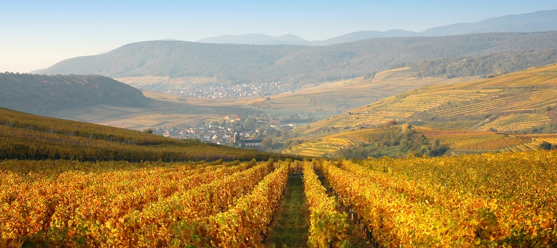 Tour de France des régions- Etape 3: les plus beaux vins d’Alsace