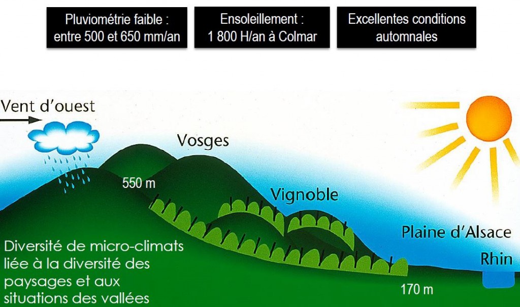 climat alsace