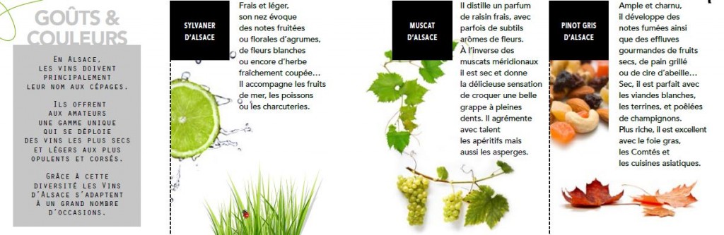 vins alsace 1