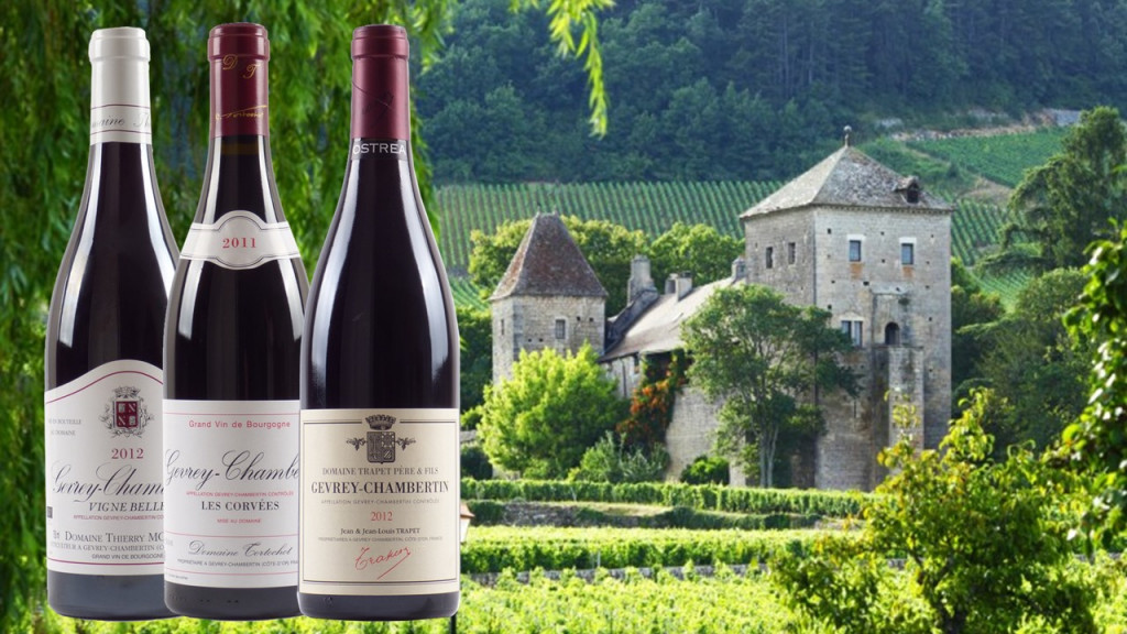 gevrey-chambertin-le-vingt-deux