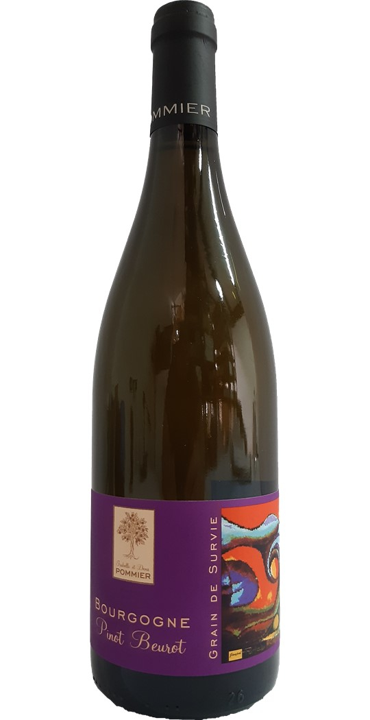 Bourgogne grain de survie Pinot Beurot