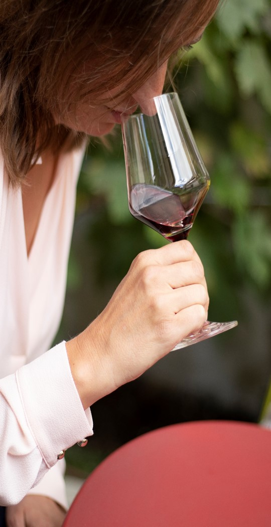 03. APPRENDRE À DÉGUSTER LE VIN - 49€