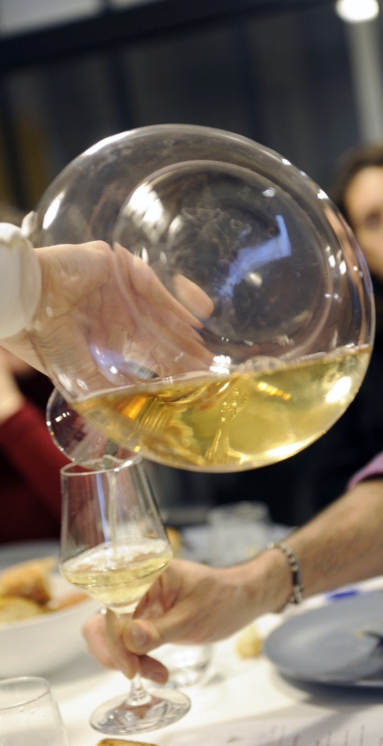 01. VINS DE VIGNERONNES - 25€