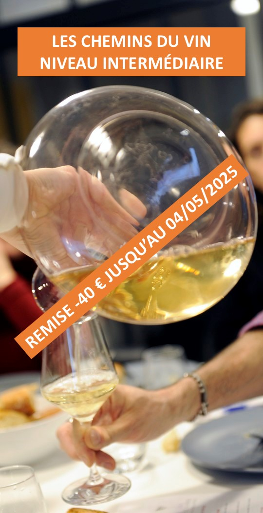 LES CHEMINS DU VIN niveau 2 - 399 €