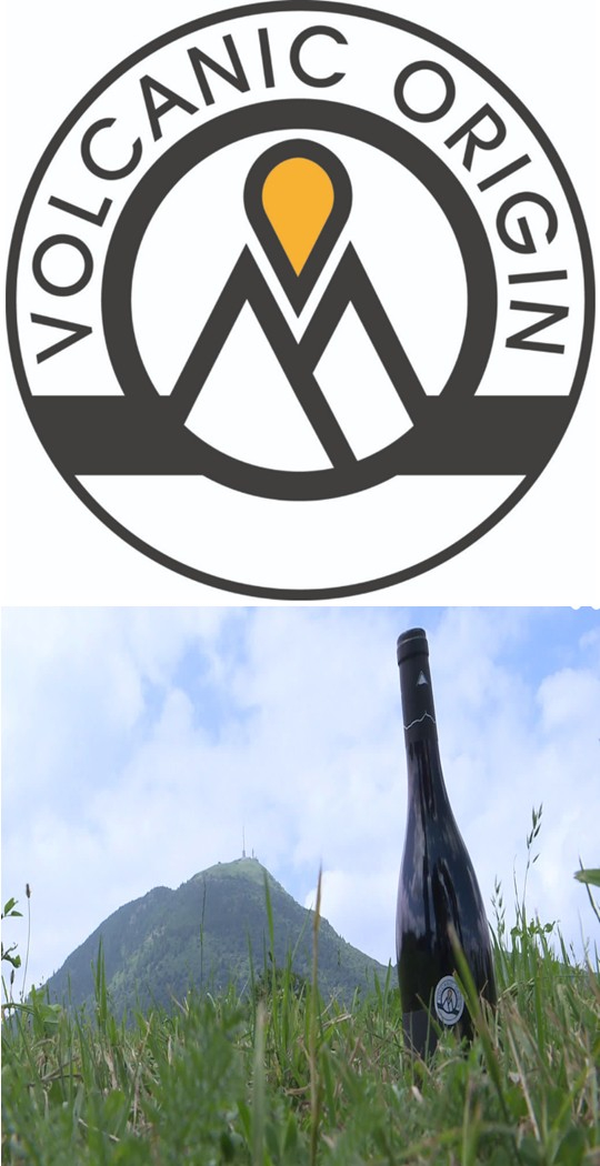 17. LES VINS VOLCANIQUES - 49€