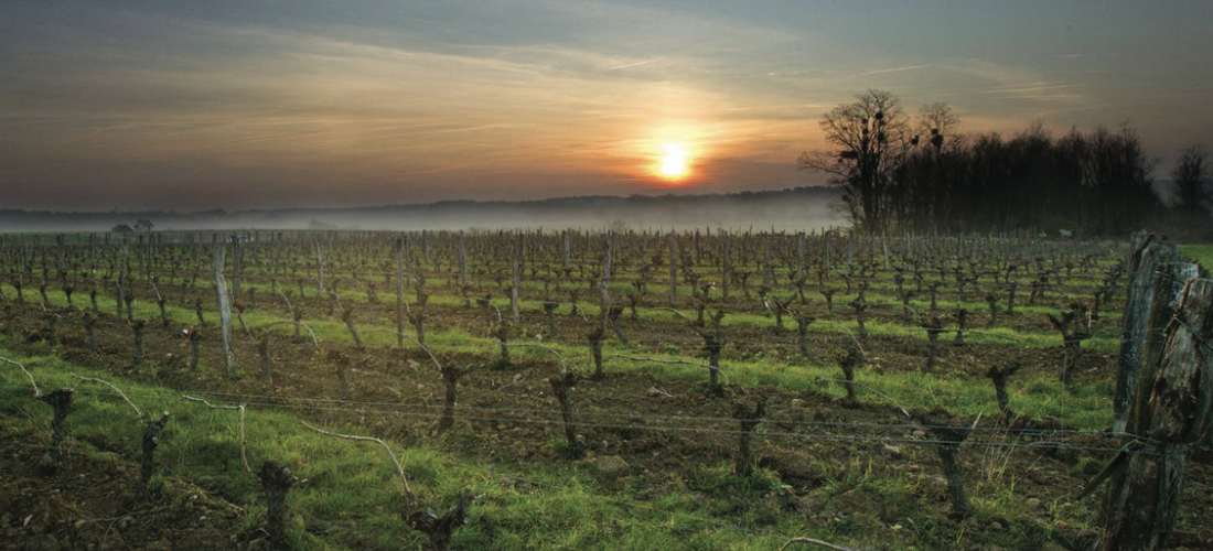 Clau de Nell : une merveille d’Anjou