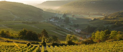 LES CHEMINS DU VIN 2023-2024 - NIVEAU 1